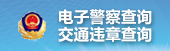 上海市公安局交通安全综合服务管理平台